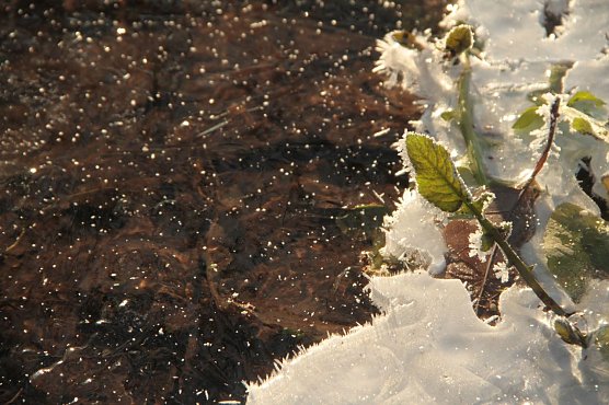 Wetterbild (Foto: Angelo Glashagel) Wetterbild (Foto: Angelo Glashagel)