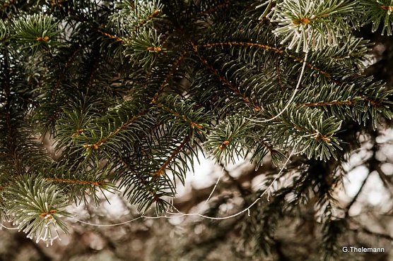 Wetter-Bild (Foto: Gernot Thelemann)