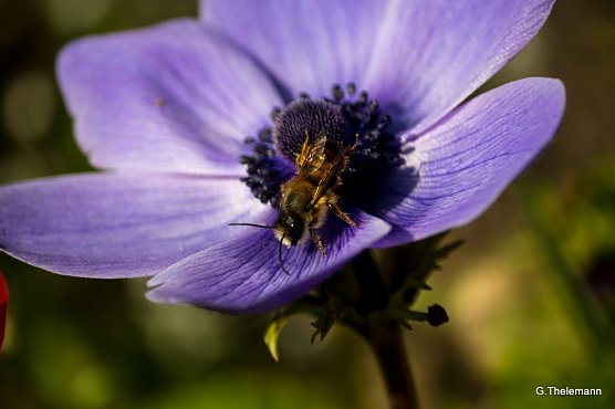 Wetter-Bild (Foto: Gernot Thelemann)