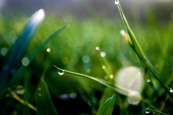 Wetterbild (Foto: Gernot Thelemann)