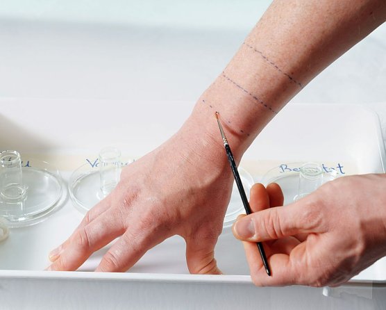 Mit dem Pinsel platziert der Proband eine Zecke auf der Start&shy;linie. Sie rennt los. (Foto: Stiftung Warentest)