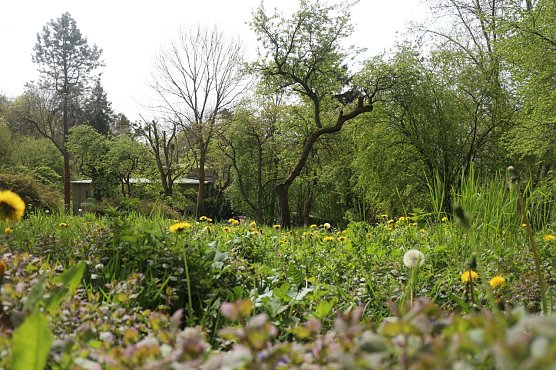 Wetterbild (Foto: Angelo Glashagel)