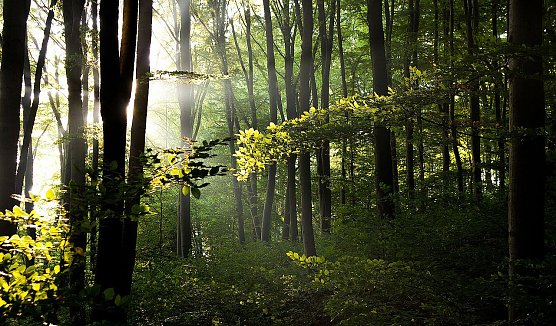 Wetter-Bild (Foto: Gernot Thelemann)