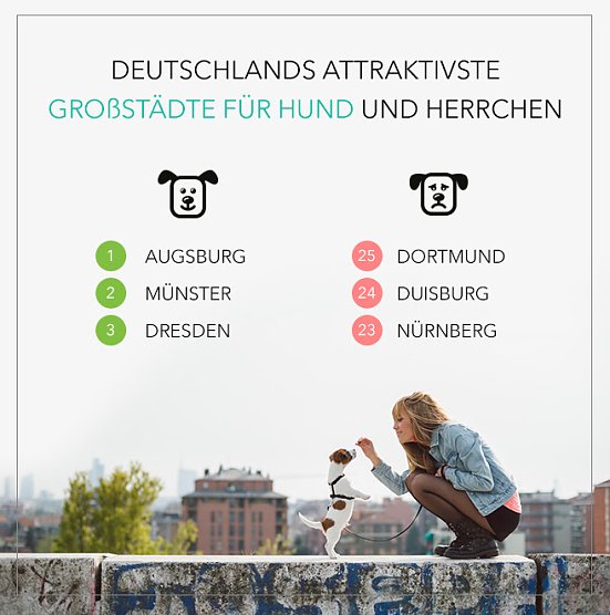 Grafik (Foto: Betreut.de / stocksy)