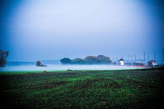 Locker bew&ouml;lkt (Foto: Gernot Thelemann)