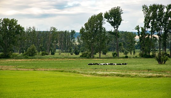 Wetterbild (Foto: Gernot Thelemann)