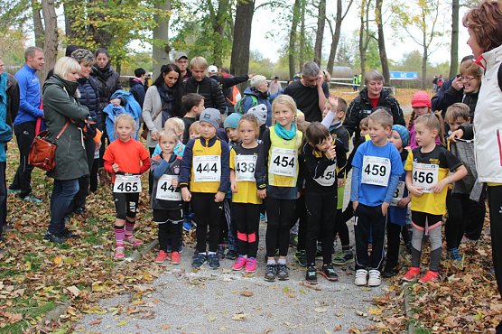 24. Stadtparklauf in Sondershausen (1) (Foto: Karl-Heinz Herrmann)