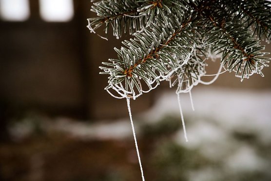 Wetterbild (Foto: Gernot Thelemann)