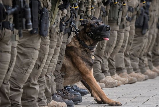 Foto des Jahres, "Menschen und Momente", Halber Zweibeiner (Foto: Boris Roessler)