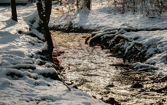 Weiter winterlich (Foto: Gernot Thelemann)