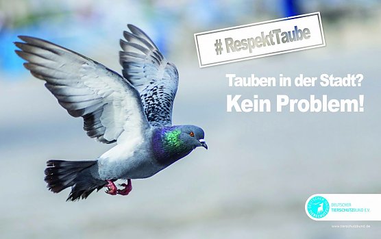 Kampagne wird morgen gestartet (Foto: Tierschutzbund Deutschland)