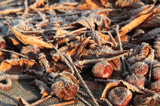 Wetterbild (Foto: Angelo Glashagel)