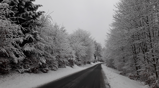 Heute auf dem Weg von Rothes&uuml;tte nach Sophienhof (Foto: privat)