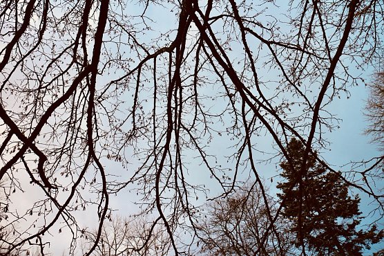 Wetterbild (Foto: Angelo Glashagel)