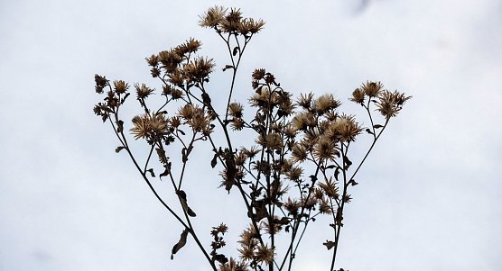 Wetterbild (Foto: Gernot Thelemann)