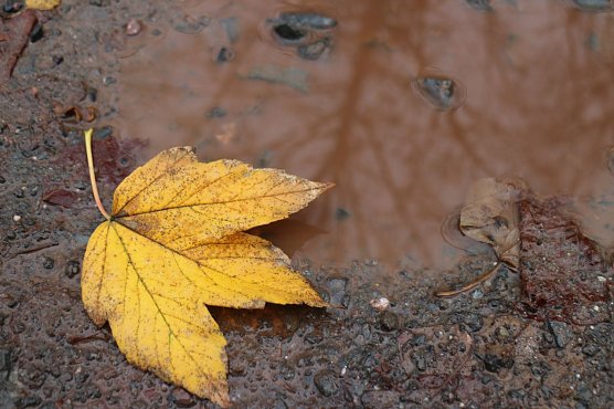 Wetterbild (Foto: Angelo Glashagel) Wetterbild (Foto: Angelo Glashagel)