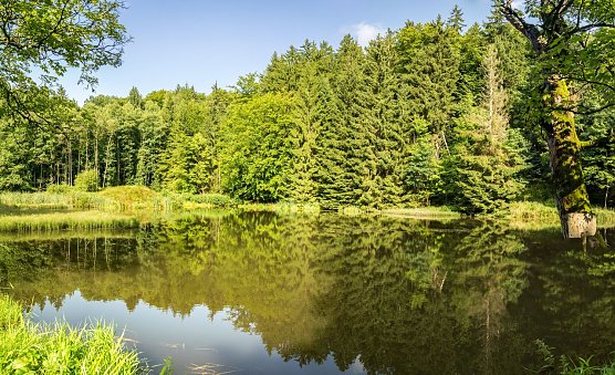 Wetterbild (Foto: Gernot Thelemann)