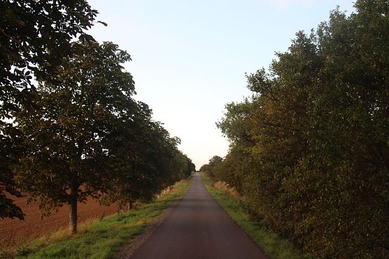 Wetterbild (Foto: Angelo Glashagel)