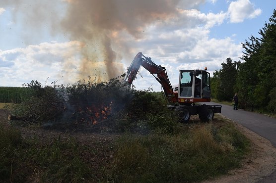 Feuerbrand (Foto: Stadt Bad Langensalza)