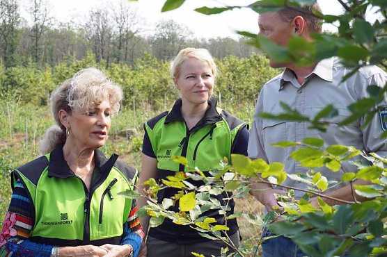 Auf der Suche nach den B&auml;umen der Zukunft (Foto: Dr. Horst Spro&szlig;mann - Th&uuml;ringenForst)