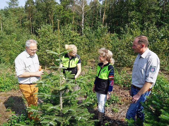 Auf der Suche nach den B&auml;umen der Zukunft (Foto: Dr. Horst Spro&szlig;mann - Th&uuml;ringenForst)