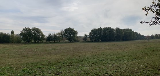 wetter (Foto: oas) wetter (Foto: oas)