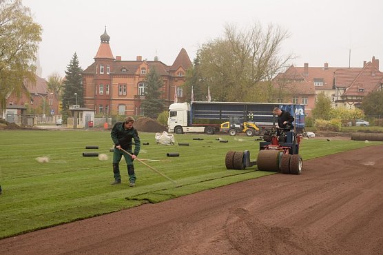 Rollrasen verlegt (Foto: Stadtverwaltung Bad Langensalza / Emanuel Cron)