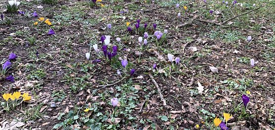 Wetter (Foto: oas) Wetter (Foto: oas)