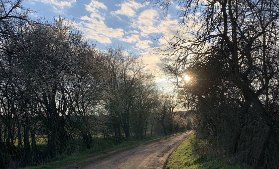 wetter (Foto: oas) wetter (Foto: oas)