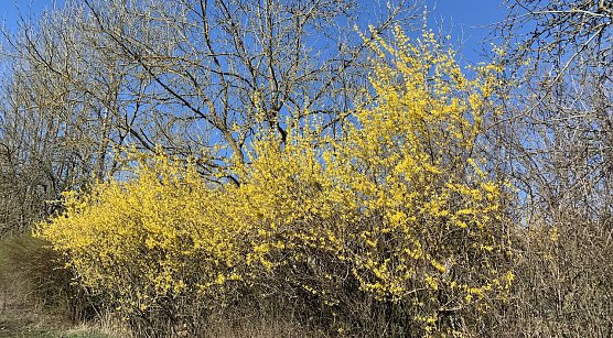 wetter (Foto: oas) wetter (Foto: oas)
