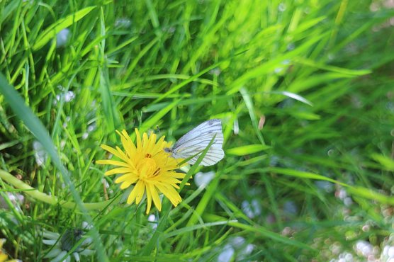 Wetterbild (Foto: Angelo Glashagel) Wetterbild (Foto: Angelo Glashagel)