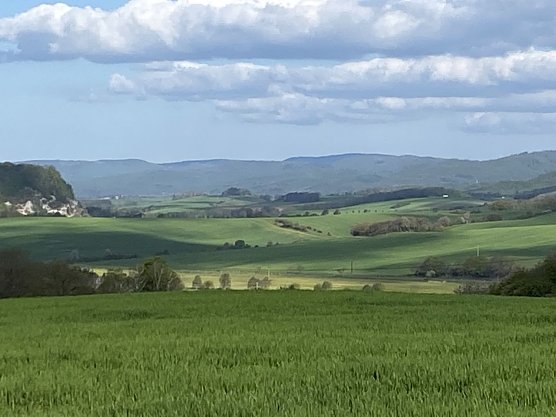 Wandern am Stausee Kelbra (Foto: Familie Friedling)