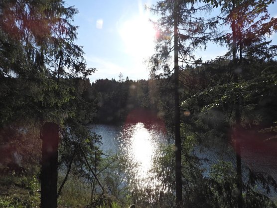 Sommer an der Neust&auml;dter Talsperre (Foto: Peter Blei)
