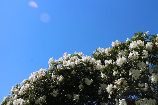 Wetterbild (Foto: agl)