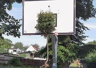 Vandalismus in Bad Langensalza (Foto: PI NDH)