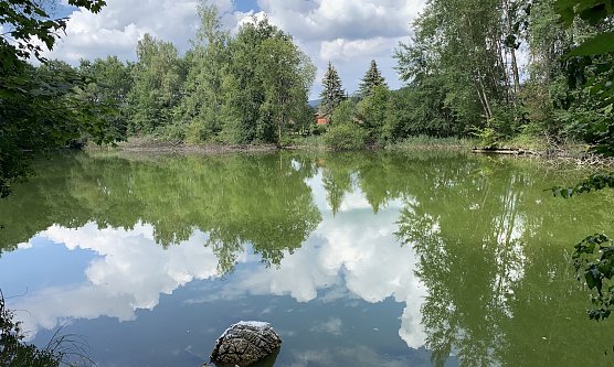 Tanzteich  (Foto: oas)