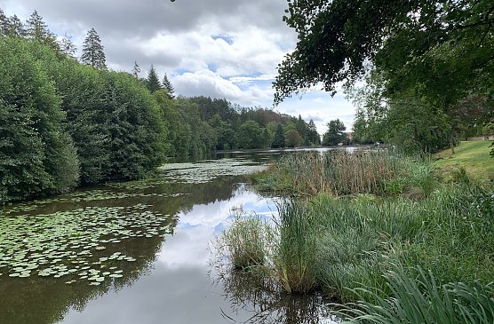 Kurpark Bad Sachsa (Foto: oas)