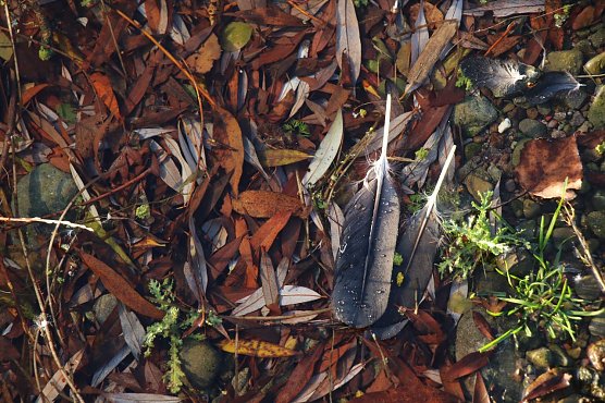 Wetterbild (Foto: agl)