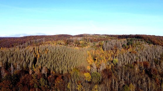 Blick in den S&uuml;dharz (Foto: Peter Blei)