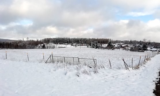 Sophienhof am Morgen  (Foto: W.J&ouml;rgens)