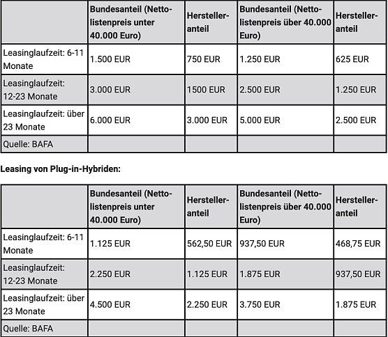 Leasing von Batterieelektro- oder Brennstoffzellenfahrzeugen (Foto: Automobilclub von Deutschland) Leasing von Batterieelektro- oder Brennstoffzellenfahrzeugen (Foto: Automobilclub von Deutschland)