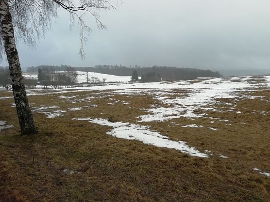 Tauwetter bei Sophienhof (Foto: W. J&ouml;rgens)