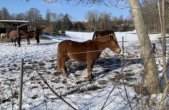 Winterstilleben an der Windl&uuml;cke (Foto: oas)