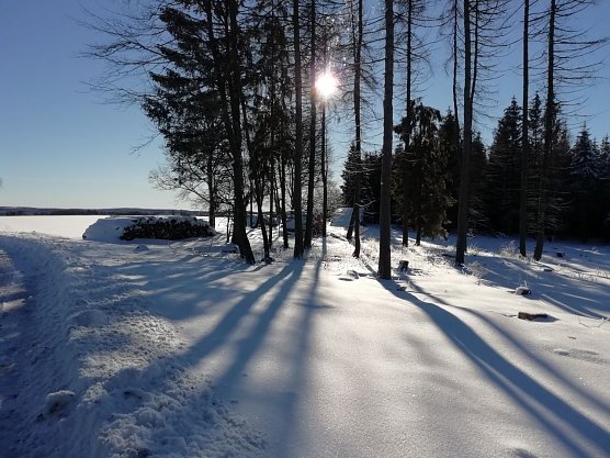 Wintersonne heute morgen in Sophienhof (Foto: W. J&ouml;rgens)