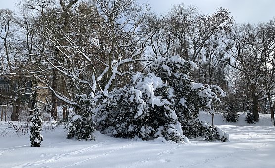 Park Hohenrode in Nordhausen  (Foto: oas)