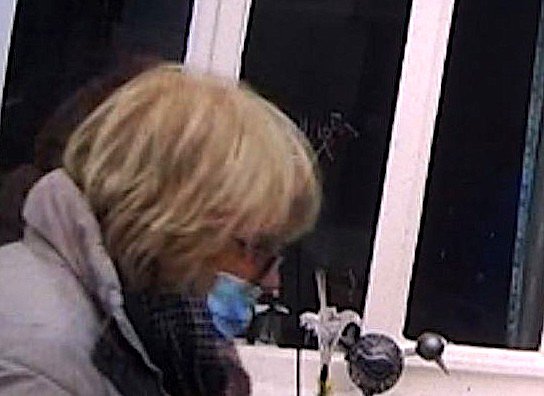 Gesuchte Frau (Foto: PI NDH)