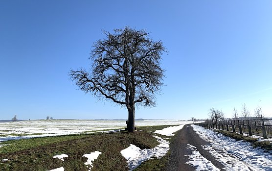 Alte Leipziger Straße bei Bielen (Foto: oas) Alte Leipziger Straße bei Bielen (Foto: oas)