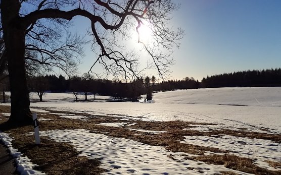 Bei Sophienhof (Foto: W.J&ouml;rgens)