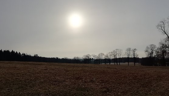 Im Hochharz (Foto: W.Jörgenss) Im Hochharz (Foto: W.Jörgenss)