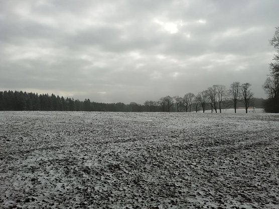Bei Sophienhof (Foto: W.Jörgens) Bei Sophienhof (Foto: W.Jörgens)